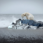 Il Permafrost Cede: Effetti Disastrosi dall'Artico alle Alpi